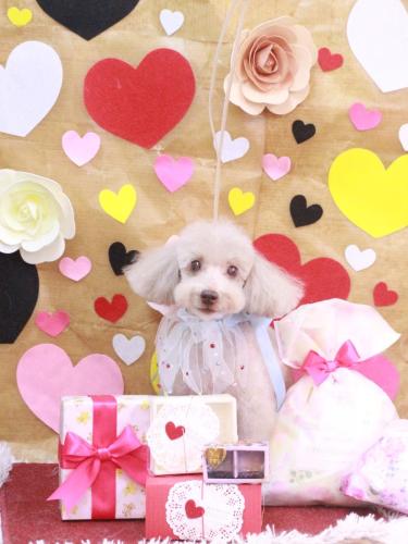 20230228ロンくん